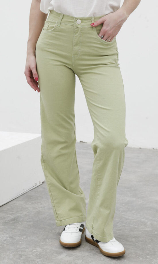 Wide leg elastizado -art166-